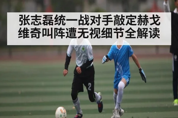 张志磊统一战对手敲定赫戈维奇叫阵遭无视细节全解读 - Kaiyun Sports